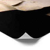 クレタ島で発見されたハドリアン皇帝の胸像 ポスター (角)