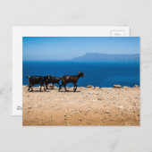 クレタ島8 ポストカード (正面/裏面)