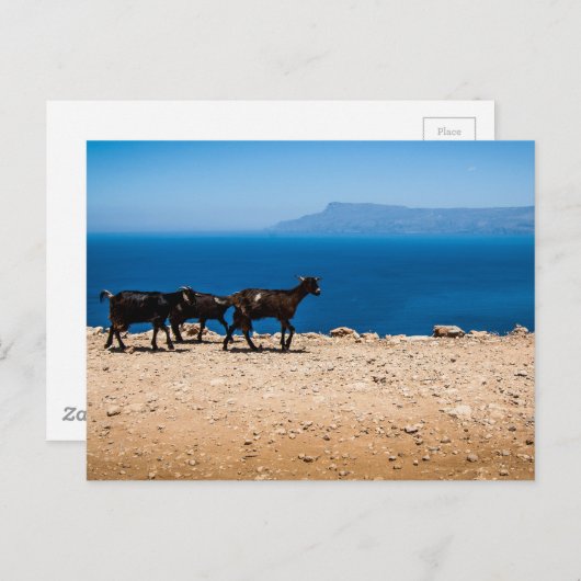 クレタ島8 ポストカード (正面/裏面)
