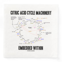 クレブに埋め込まれたクエン酸循環機械
