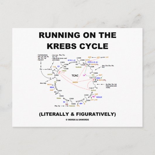 クレブランニングスサイクルの（科学ユーモア） ポストカード (正面)