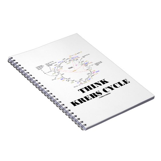 クレブ考えスサイクルクエン酸回路 – TCAC ノートブック (右側)