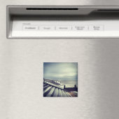 クレベリーズビーチ磁石 マグネット (インサイチュ (食洗機))