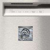 クレベリーズ海殻磁石 マグネット (インサイチュ (食洗機))