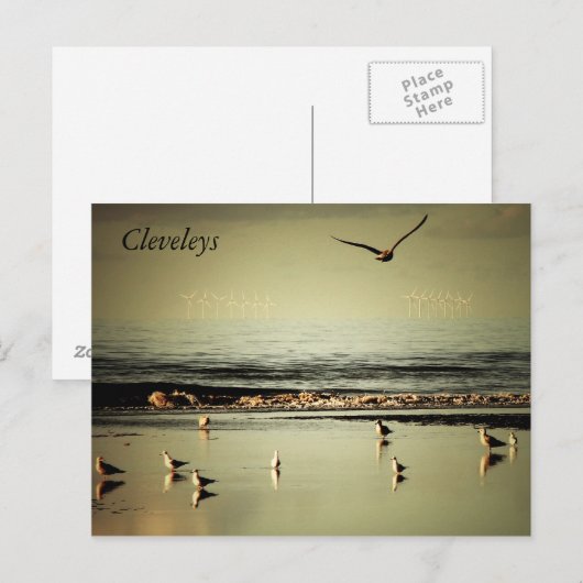 クレベリーズ ポストカード (正面/裏面)