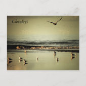 クレベリーズ ポストカード (正面)