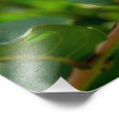 クレペ鮮やかマートルツリー フォトプリント            (角)