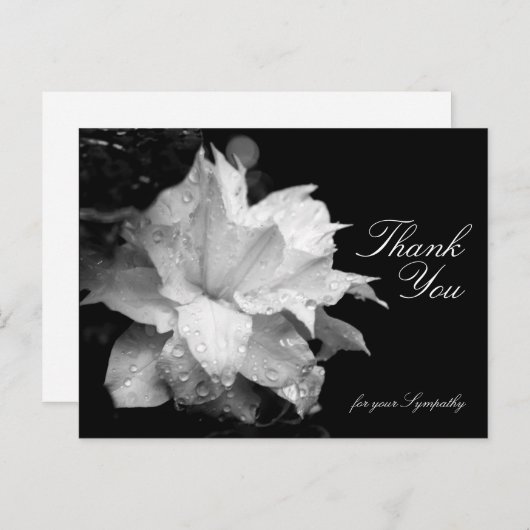 クレマチスと露悔やみや弔慰ありがとうP ポストカード (正面/裏面)