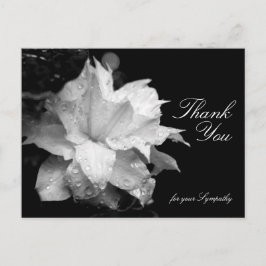 クレマチスと露悔やみや弔慰ありがとうP ポストカード
