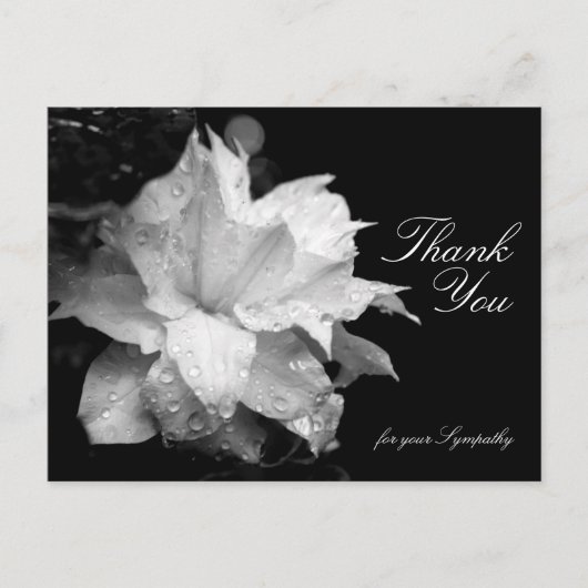 クレマチスと露悔やみや弔慰ありがとうP ポストカード (正面)
