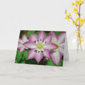 クレマチスの母の日カードのトリオ カード (黄色い花)