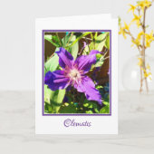 クレマチスの空白のな挨拶状 カード (黄色い花)