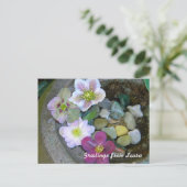 クレマチスの郵便はがき ポストカード (スタンド正面)