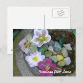 クレマチスの郵便はがき ポストカード (正面/裏面)