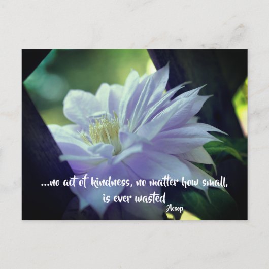 クレマチスフラワーカインドネス感動的引用文 ポストカード (正面)