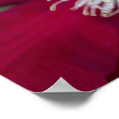 クレマチス接写 ポスター (角)