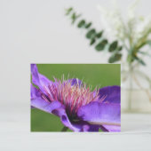 クレマチス葉書 ポストカード (スタンド正面)