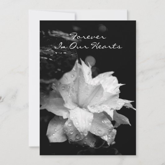 クレマチス2aの結露の葬儀の記念の発表 招待状 (正面)