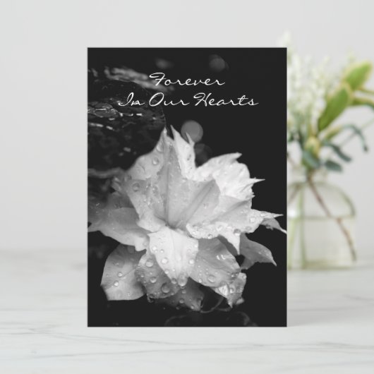 クレマチス2aの結露の葬儀の記念の発表 招待状 (スタンド正面)