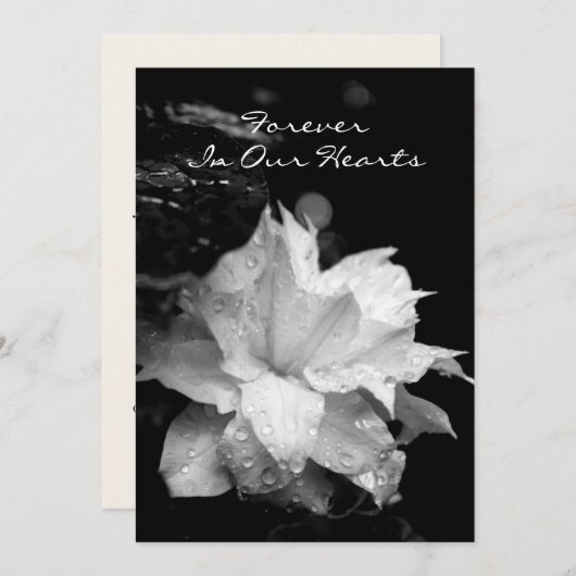 クレマチス2aの結露の葬儀の記念の発表 招待状 (正面/裏面)