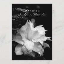 クレマチス2aの結露の葬儀の記念の発表