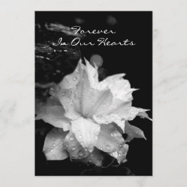 クレマチス2aの結露の葬儀の記念の発表 招待状