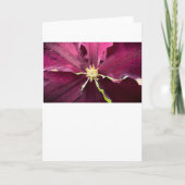 クレマチス カード (正面)