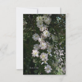 クレマティスの間に珍しい ノートカード