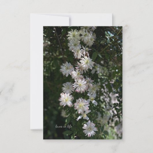 クレマティスの間に珍しい ノートカード (正面)