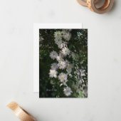 クレマティスの間に珍しい ノートカード (正面/裏面インサイチュ)