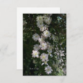 クレマティスの間に珍しい ノートカード (正面/裏面)