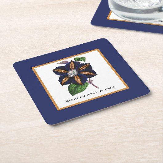 クレマティススターオブインディアボタニカルイラストレーション スクエアペーパーコースター (アングル)