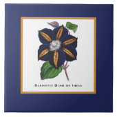 クレマティススターオブインディアボタニカルイラストレーション タイル (正面)