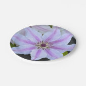 クレマティス紙プレート ペーパープレート (アングル)