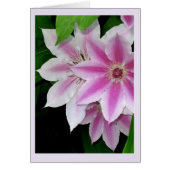 クレマティス (正面)