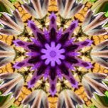 クレマティス<br><div class="desc">紫のクレマチ鮮やかスの花の美しく抽象デザイン。</div>