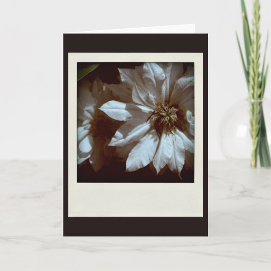 クレマティス1哀悼悔やみや弔慰ノートカード サンキューカード (正面)