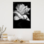 クレマティス1白黒花の写真 ポスター (キッチン)