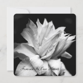 クレマティス1b葬儀メモリアル発表 招待状