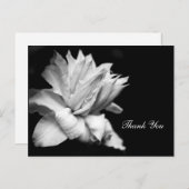 クレマティス1cメモリアル悔やみや弔慰サンキューハガキ ポストカード (正面/裏面)