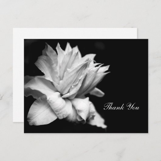 クレマティス1cメモリアル悔やみや弔慰サンキューハガキ ポストカード (正面/裏面)