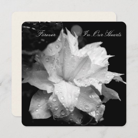 クレマティス2bが葬儀記念発表 招待状 (正面/裏面)