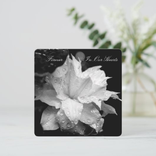 クレマティス2bが葬儀記念発表 招待状 (スタンド正面)