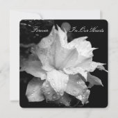 クレマティス2bが葬儀記念発表 招待状 (正面)