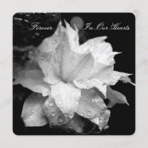 クレマティス2bが葬儀記念発表