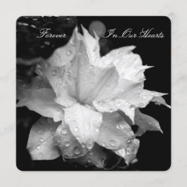 クレマティス2bが葬儀記念発表 招待状