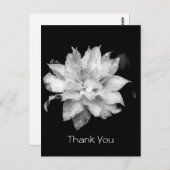 クレマティス3aメモリアル悔やみや弔慰サンキューハガキ ポストカード (正面/裏面)