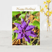 クレマティス カード (黄色い花)