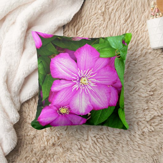 クレマティス クッション (ブランケット)