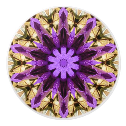 クレマティス セラミックノブ (正面)